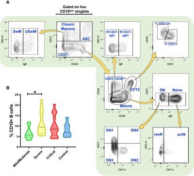 Frontiers | B Cell Subsets As Severity-Associated Signatures In COVID ...